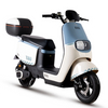 دراجة كهربائية دراجة نارية كهربائية دراجة نارية كهربائية سكوتر كهربائي سكوتر كهربائي E-Motor D21
